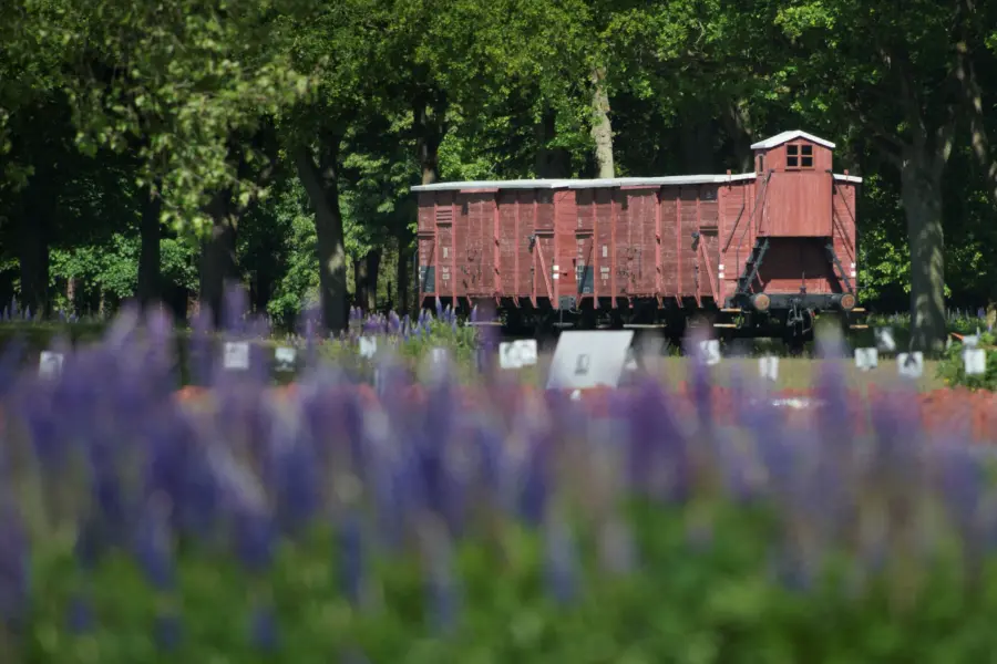 Drenthe kamp westerbork foto juni