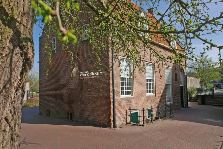 MariusvDokkum-Museum-buiten