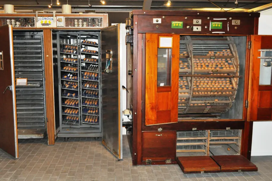 Pluimveemuseum - Broedmachines - Econoom