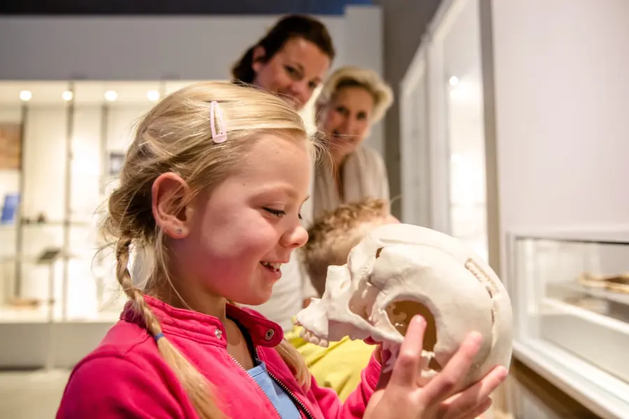 Neanderthaler tot stedeling skelet