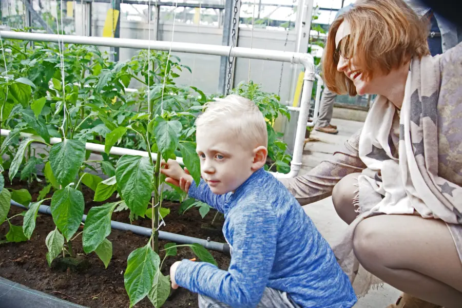 Foto Jeugd en tuinbouw bij de Locht