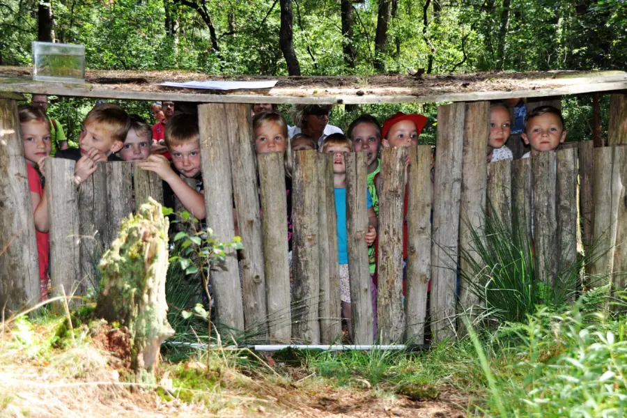 Overijssel - Natuurmuseum Holterberg Foto bos Daantje das Natuurmuseum Holterberg (1)