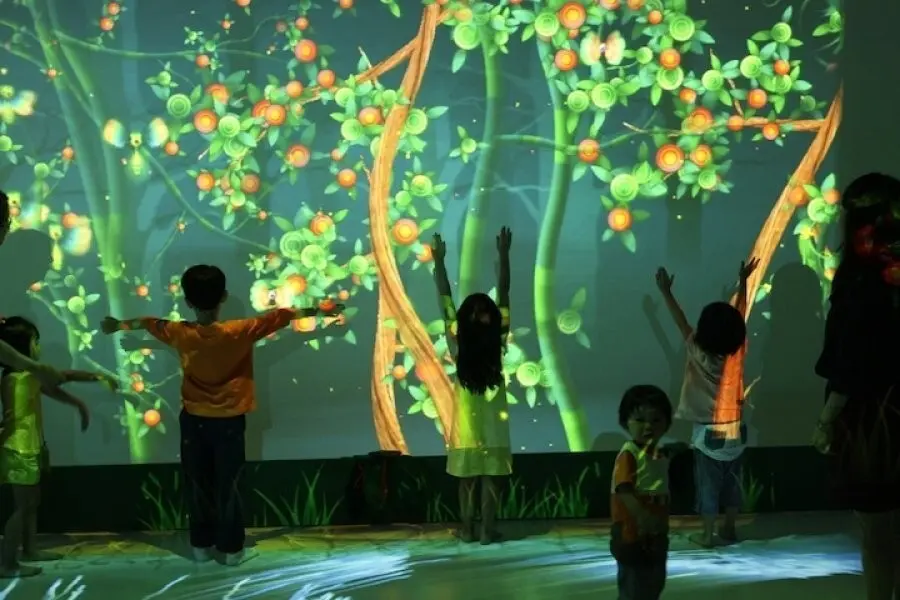 Natura docet wonderryck twente funky forest