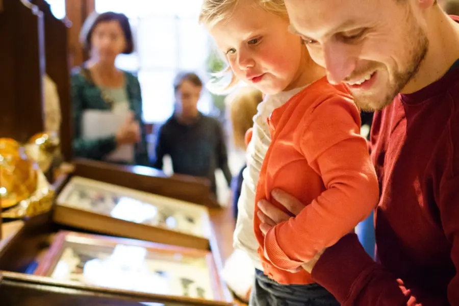 Wonderkamer vlinders ndwt foto fredernst 30cm