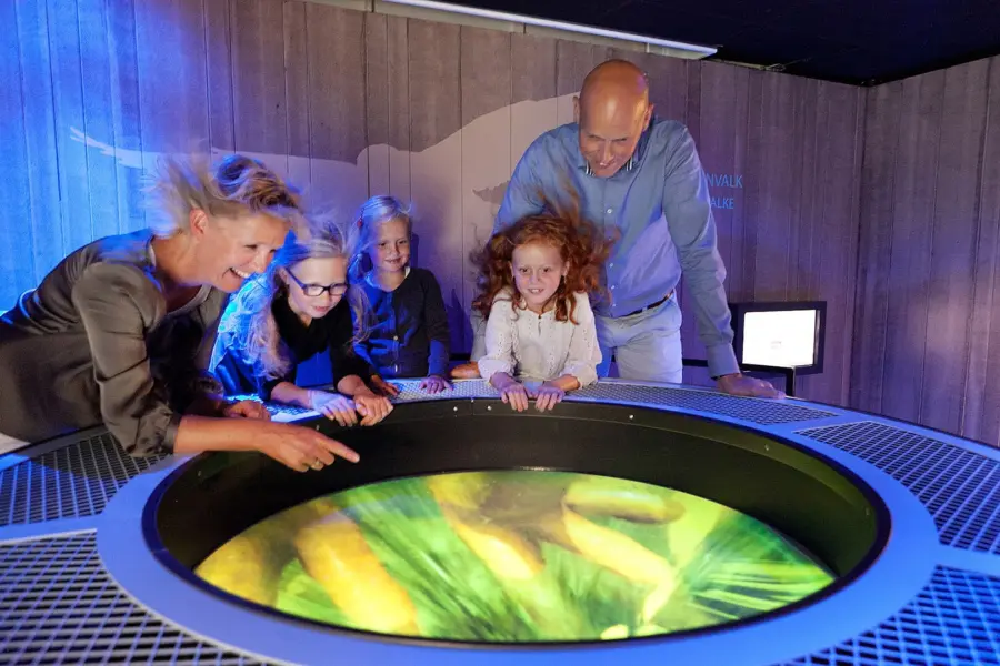 Natura Docet Wonderryck Twente - De vlucht van de Torenvalk - fotografie Arie Kwast
