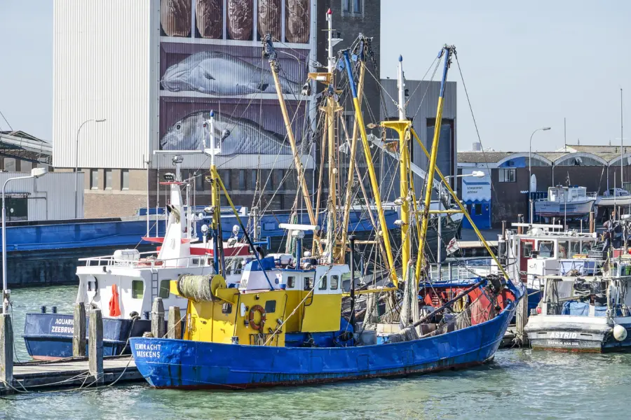 Brekens - Haven -Depositphoto