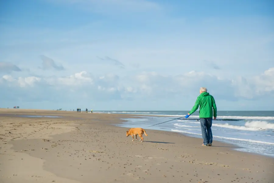 Man met hond Renesse- Deposit