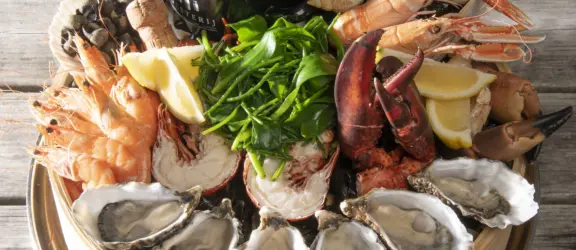 Zeeland oesterij oesterij jpgs jcb5339hr