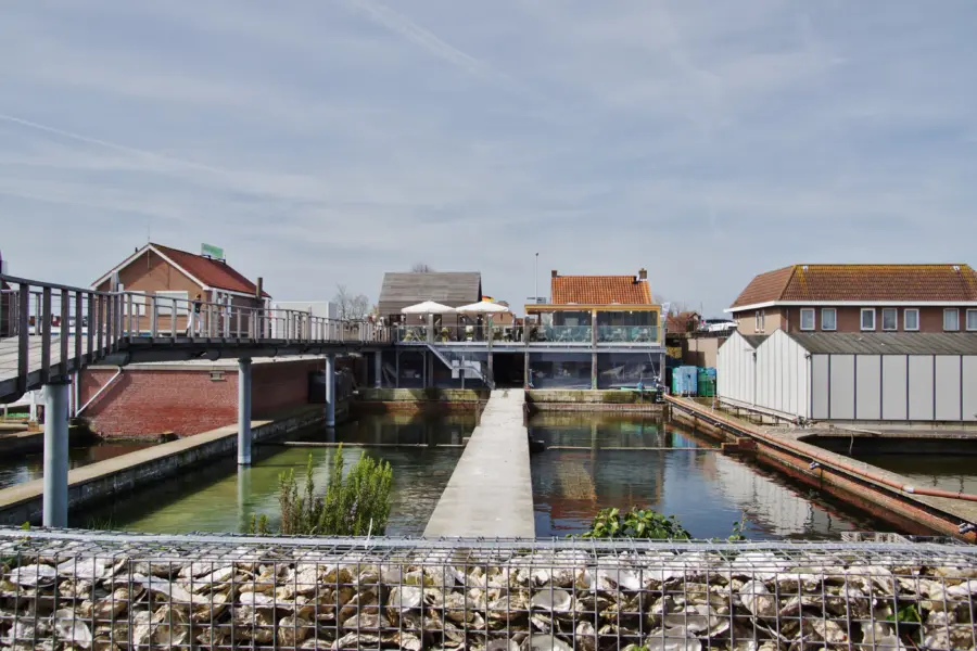 Zeeland - Oesterij DSC05324