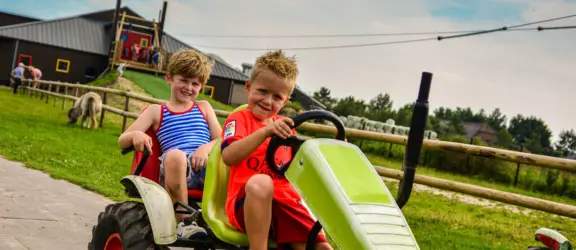 Drentse koe Skelteren met kabelbaan op achtergrond