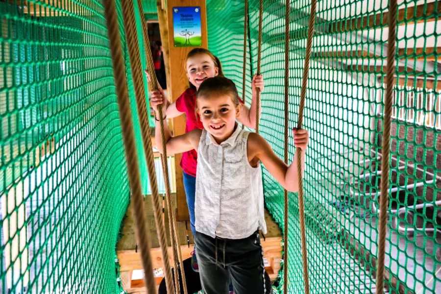 Drentse koe klimmen boven koeien 4