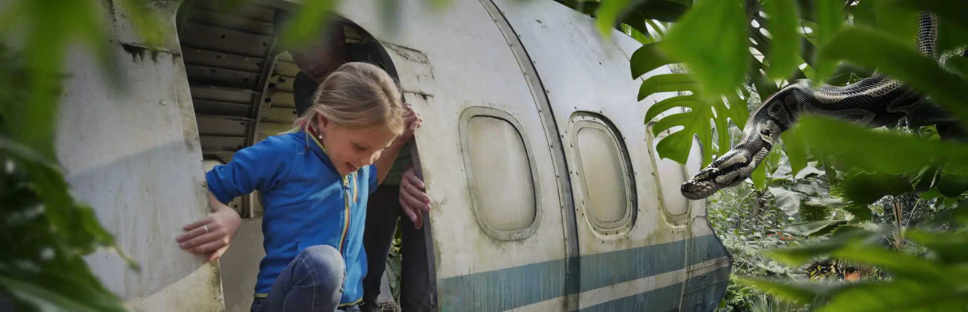 WILD-JUNGOLA0-hoofdbeeld