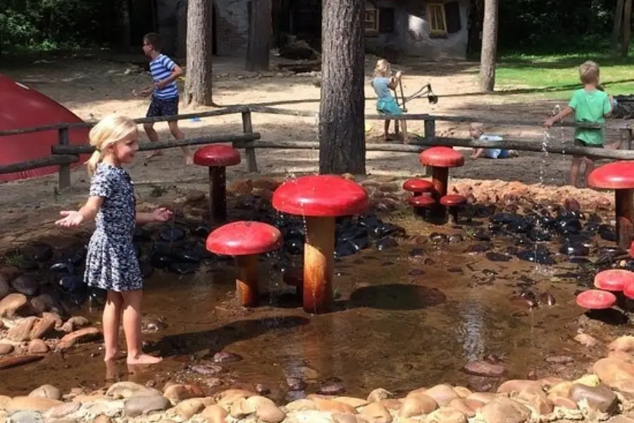 Het Grote Kabouterbos - Waterpaddenstoelen