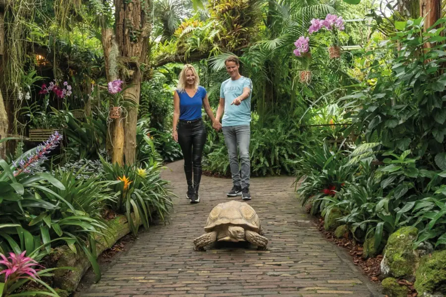 284 29 pantropica ontmoet de dieren