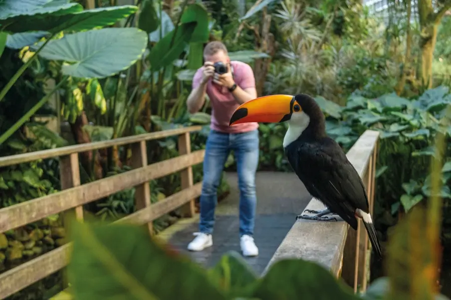 288 29 pantropica fotograaf