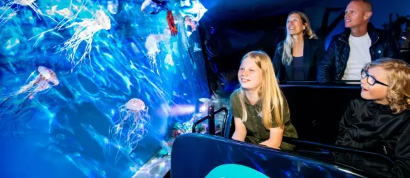 Lr onderwatersafari 5