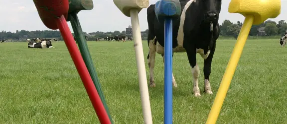 Parkhoeve de Middelt-Boerengolf