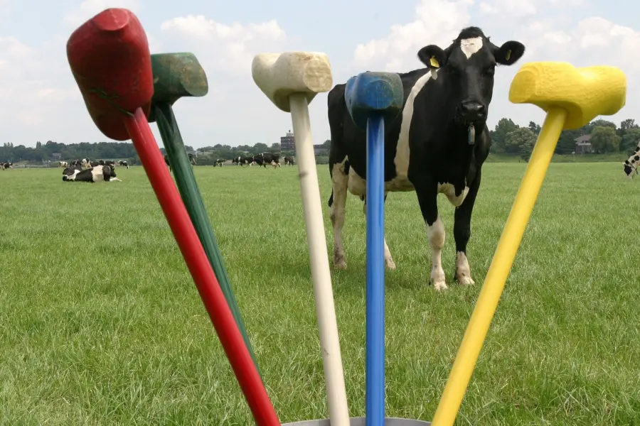 Parkhoeve de Middelt-Boerengolf