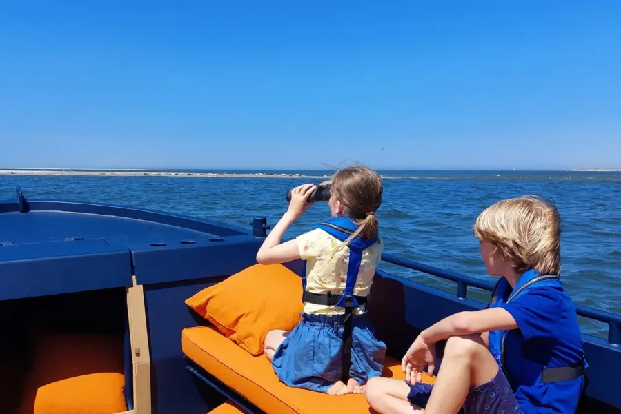 foto zeehonden kijken