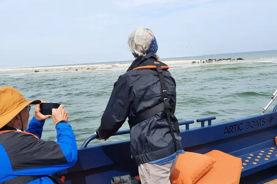 foto zeehondenkijken