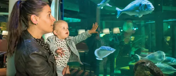 Ecomare_StefanKrofft-2019 (13)