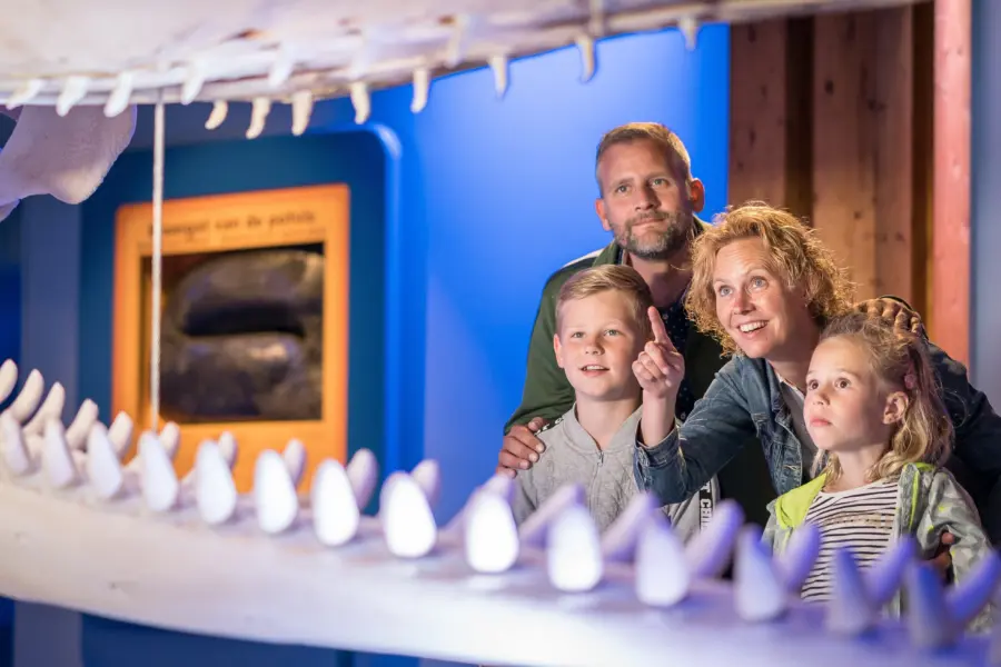 Ecomare stm ecomare stefankrofft 2019 2859 29