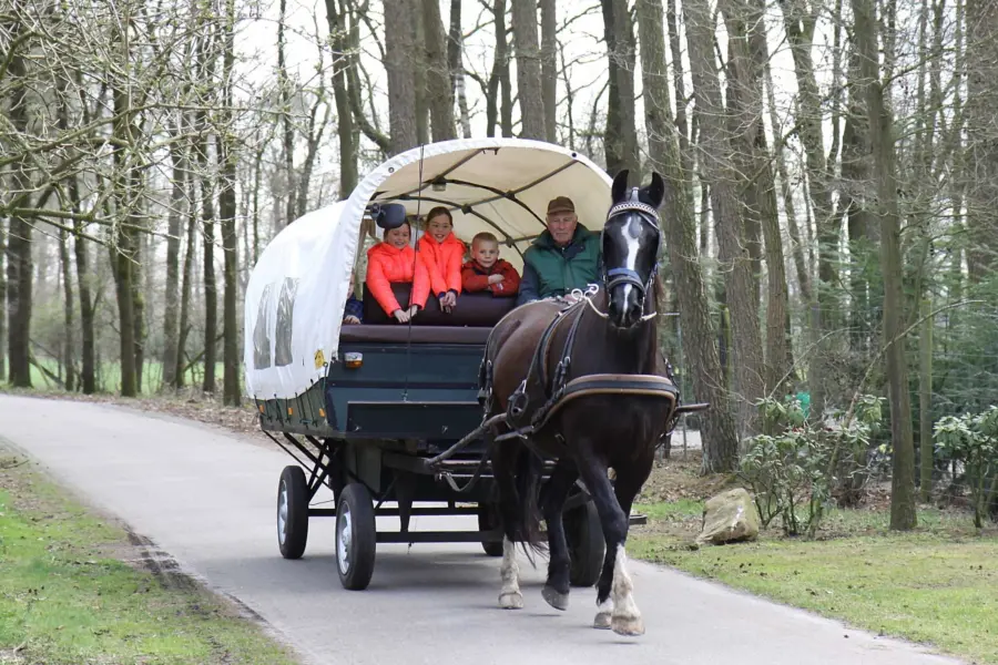 Dondertman 3 april 2015 (162a)