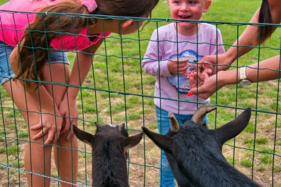 2020 speeltuin 04 scaled 750x750