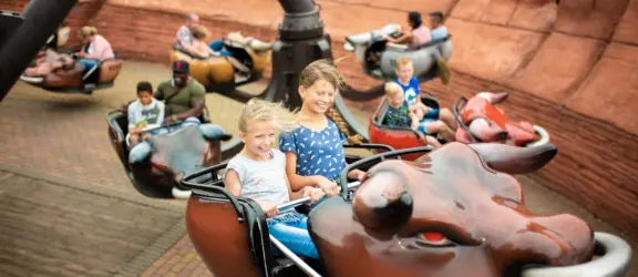 Main el torito closeup2