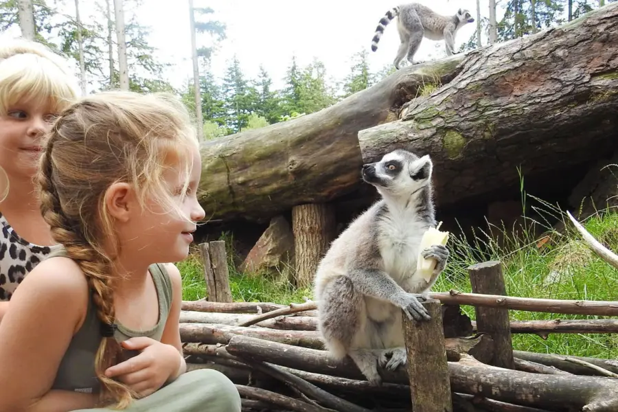 Apeneiland DierenPark Amersfoort_bewerkt