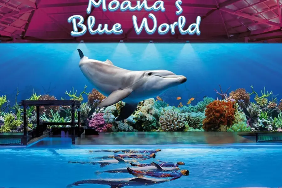 1boudewijnseapark dolphinshow mainimage