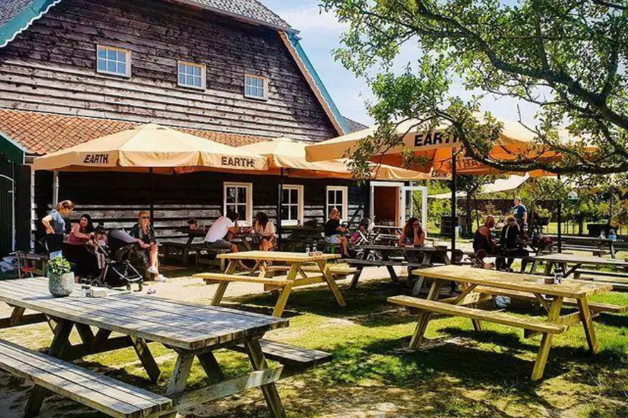 297131416 169891265598705 4368906536428700211 n