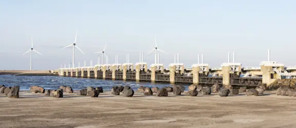 Uitje 8 deltapark neeltje jans