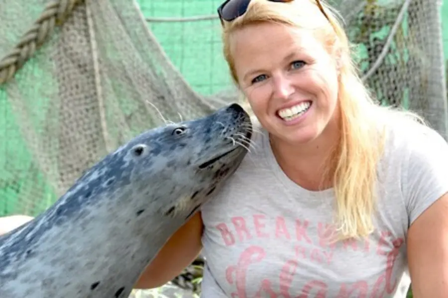 Dichterbij zeehonden volw