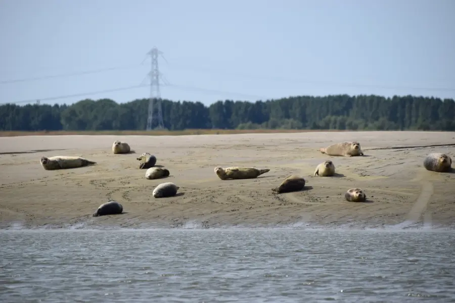 Zeeland uitje scheldesafari 1