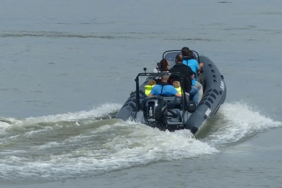 Zeeland uitje - Scheldesafari 3