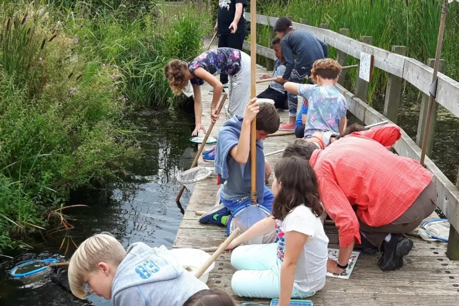 Westhove terra maris