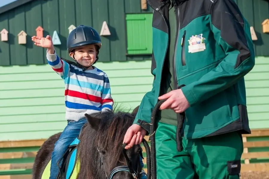 Avonturenboerderij molenwaard 013 tondebruin