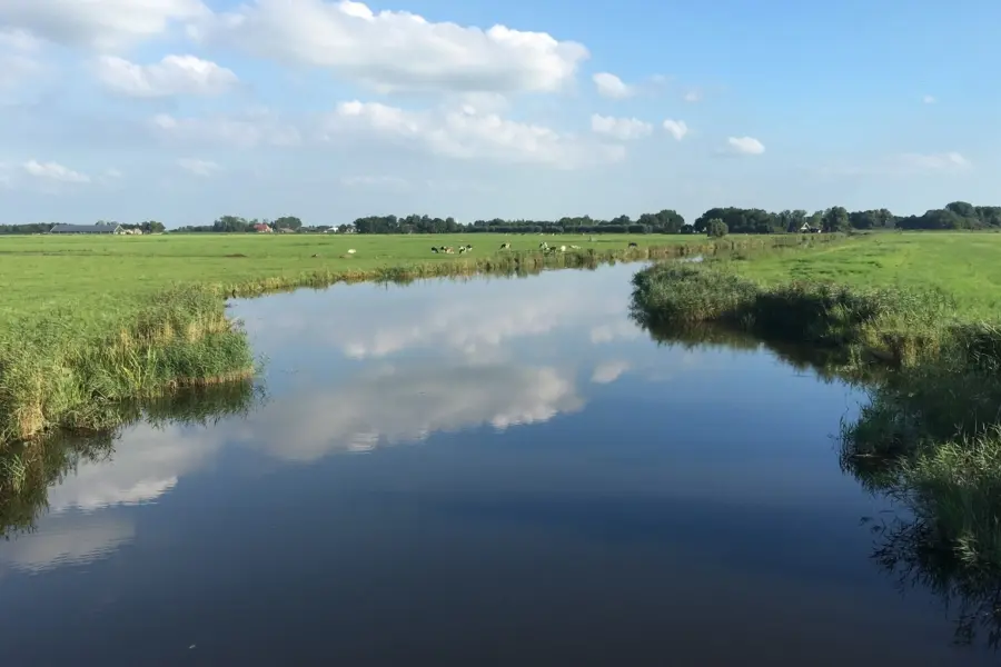 c3c1dc9e-bdcd-44a5-b4c6-b2058d07f830-large