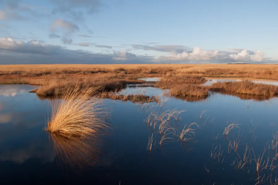 Nationaalpark de hoge veluwe deelense veld henk ruseler