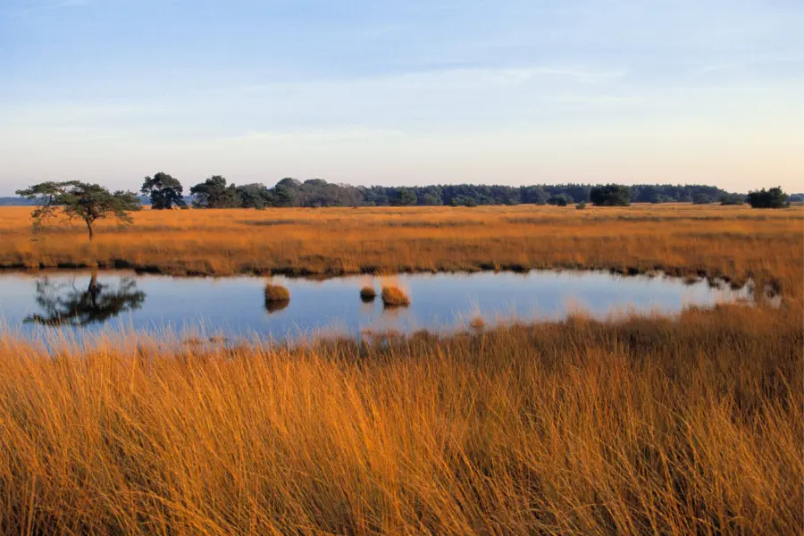 Nationaalpark de hoge veluwe jdp130056fs
