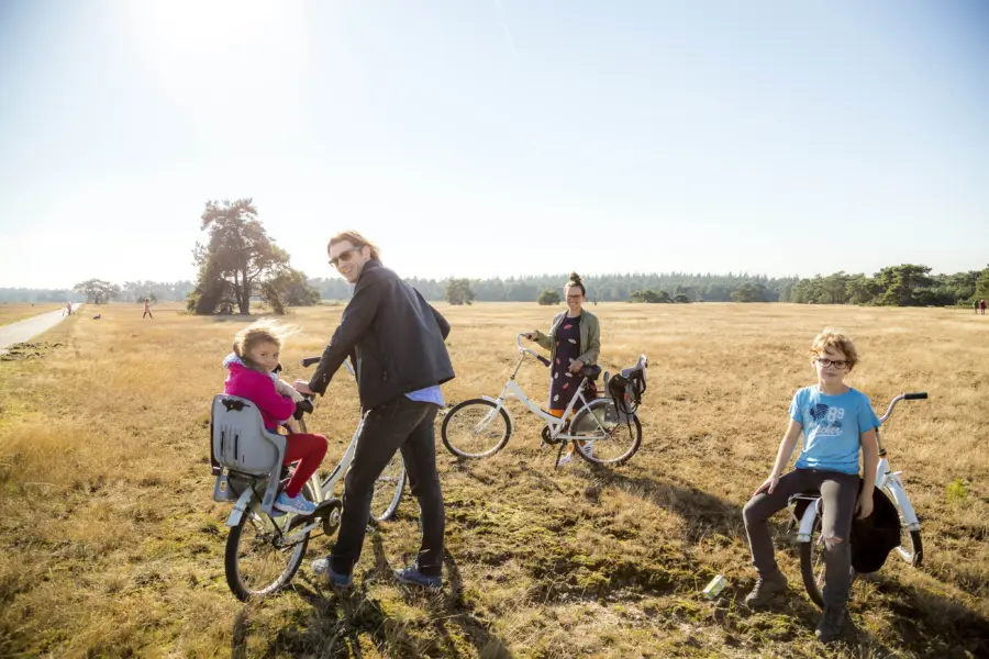 Nationaalpark de hoge veluwe jdp9161016 0819 rub
