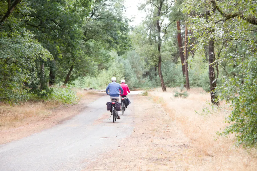 Fietsen in het bos