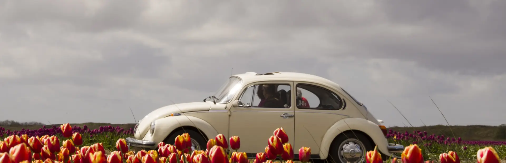 Noord-Holland - Bloeiende Zijpe_MG_0651 Marion Verwindt