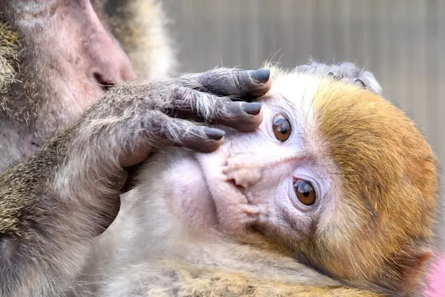 49345021 2213592935337998 1338548565210824704 n