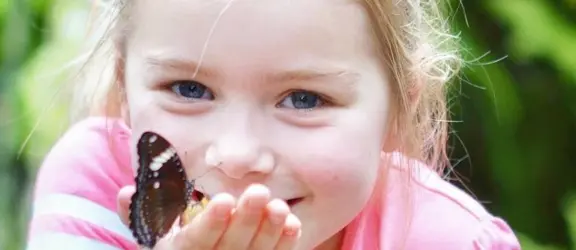 Vlindertuin Vlindorado