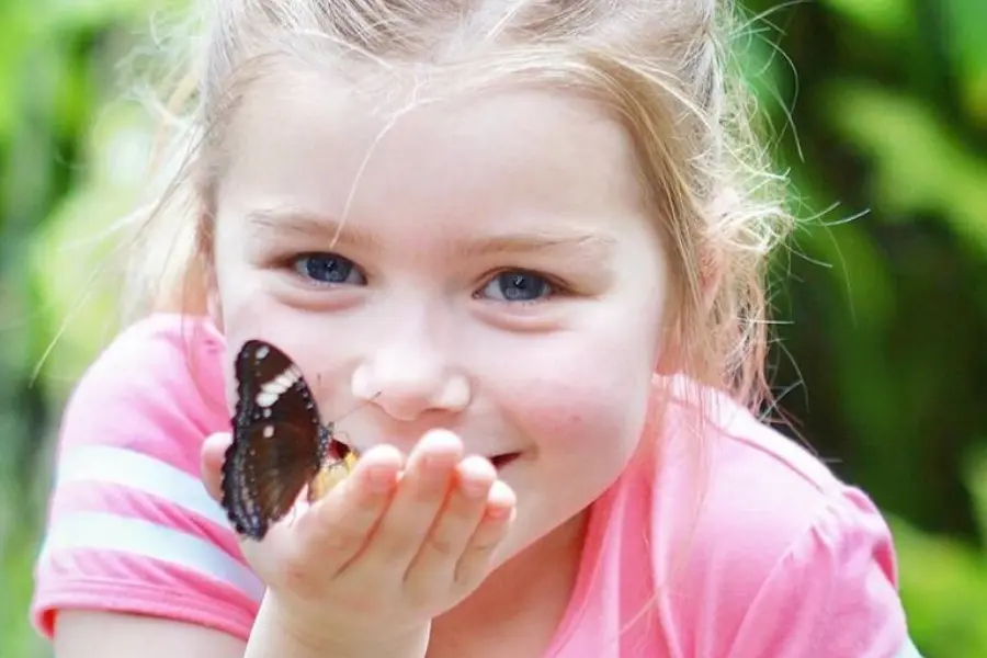 Vlindertuin Vlindorado