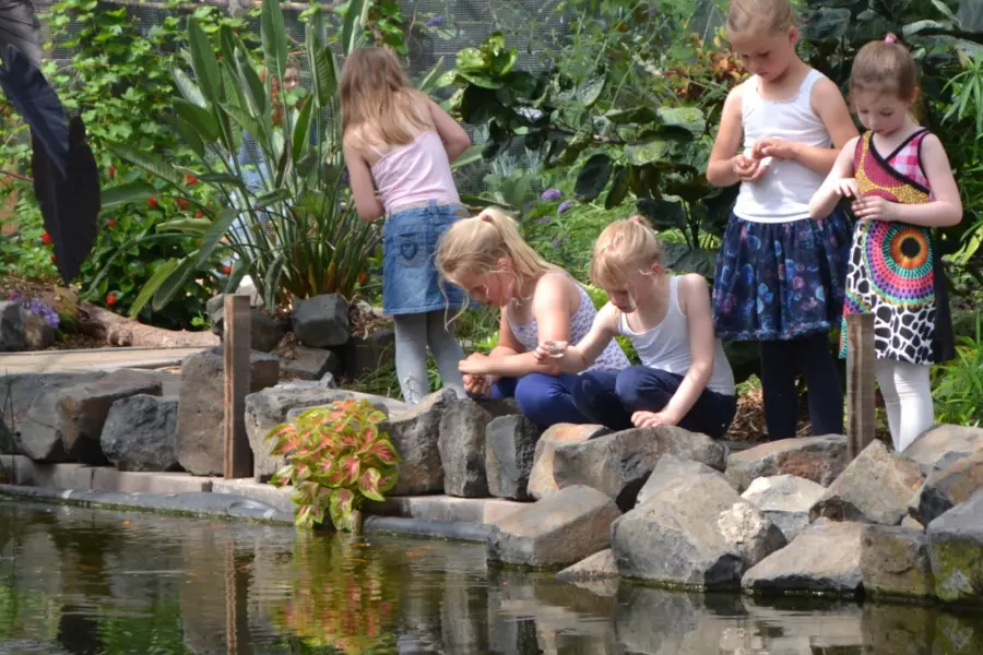 Vlindertuin Vlindorado 1