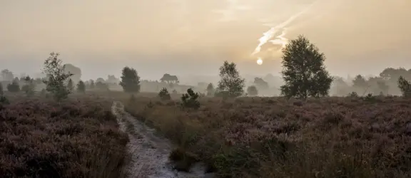 Algemene plaatjes sallandse heuvelrug 281 29