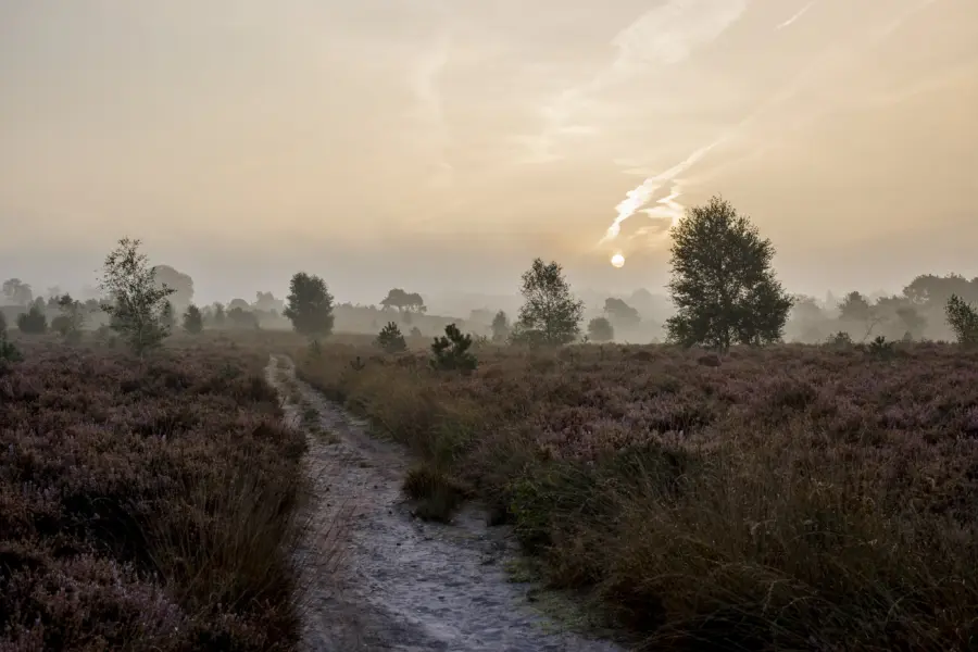 Algemene plaatjes sallandse heuvelrug 281 29